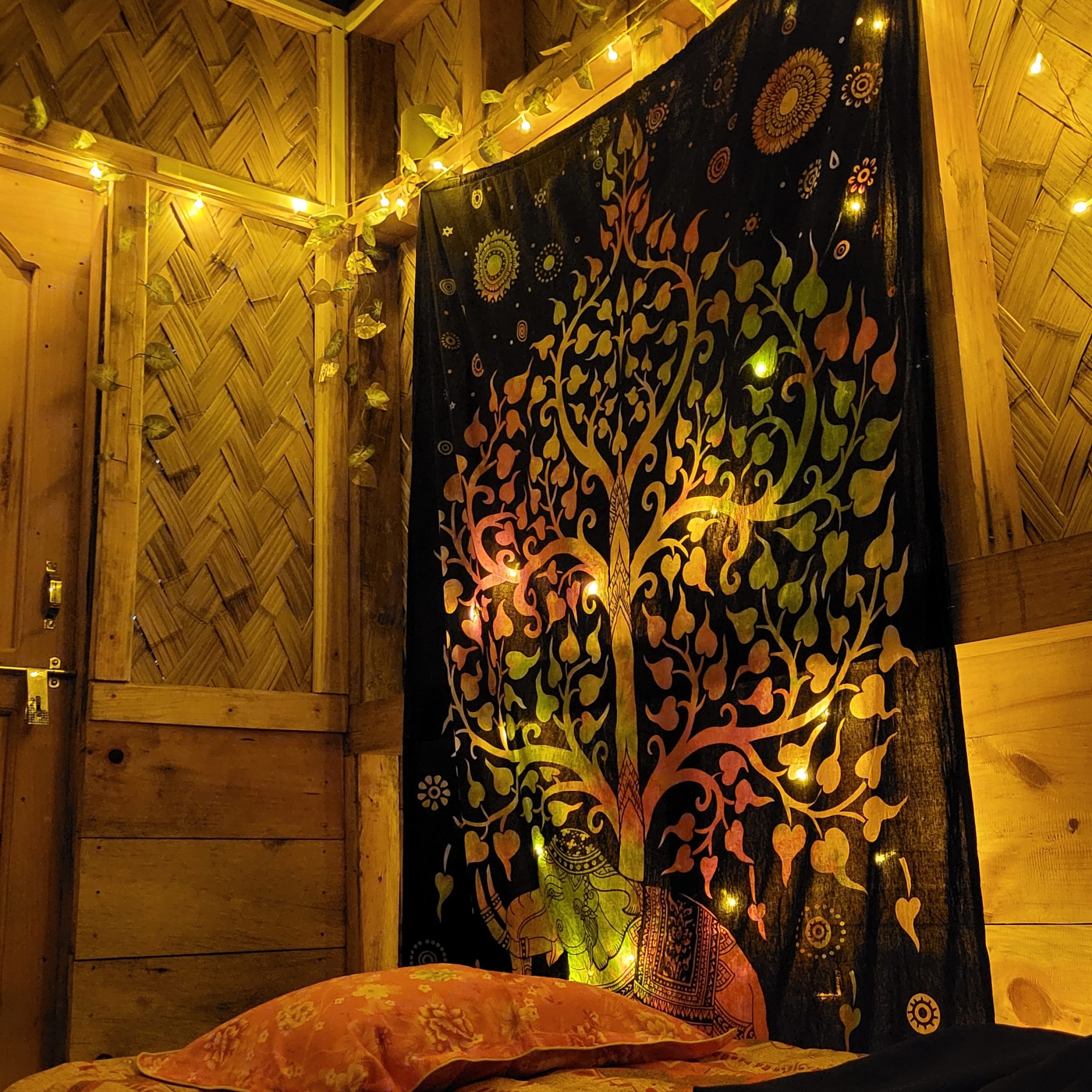 Dorm Room