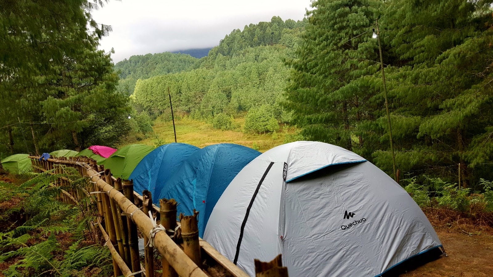 FestTripping