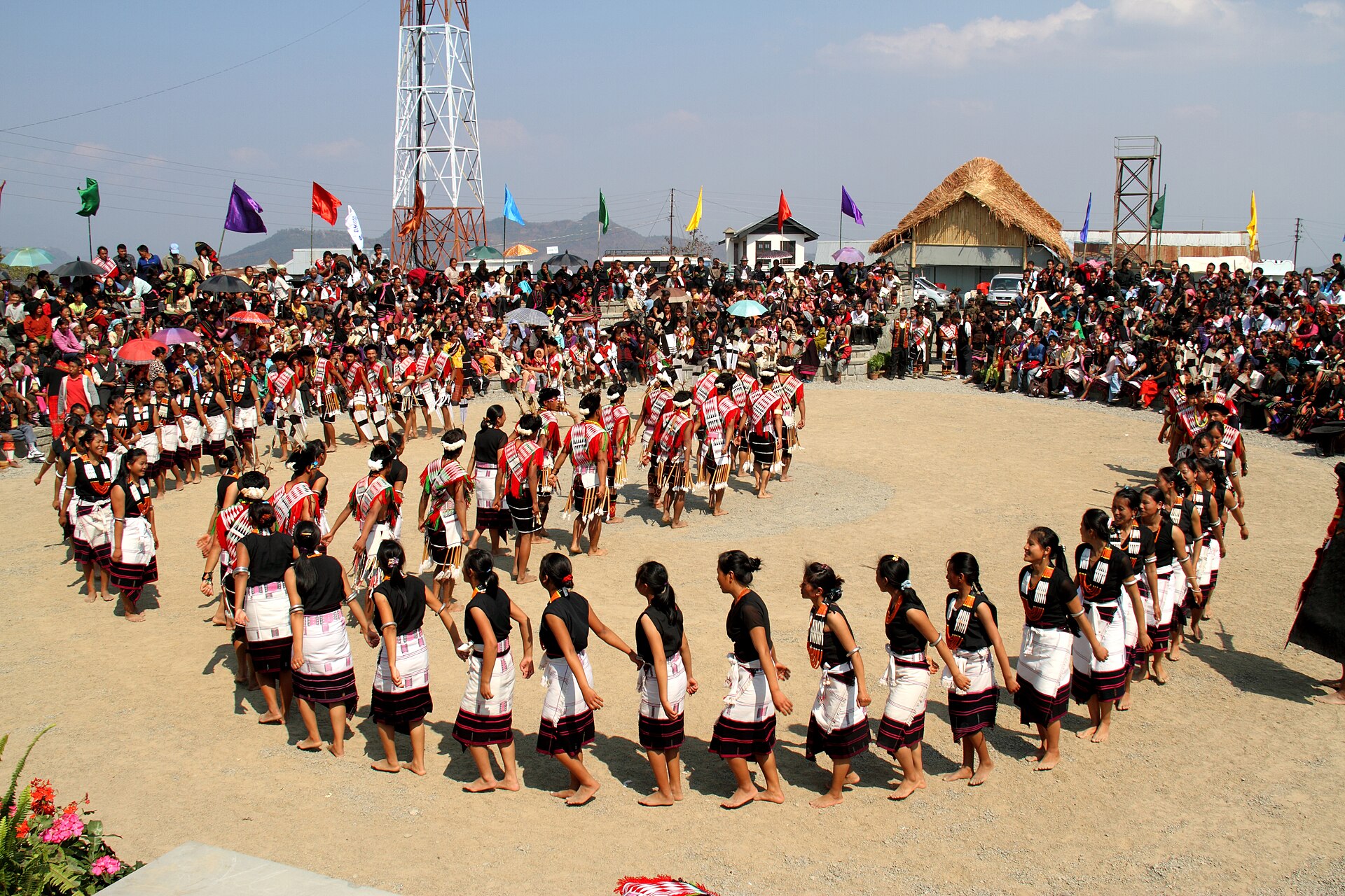 FestTripping
