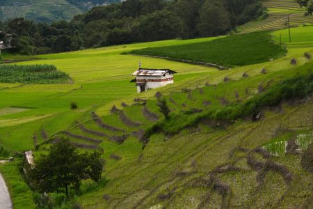 The Complete First-Timer’s Guide to Festival Travel in Northeast India