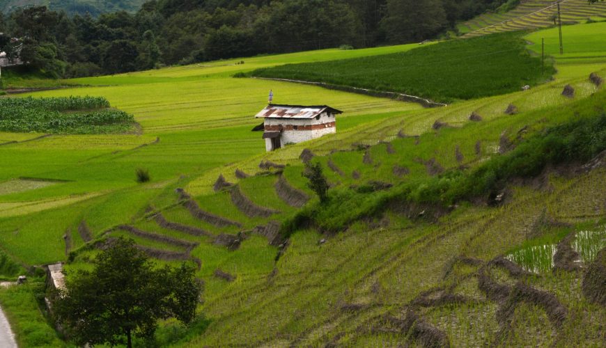 The Complete First-Timer’s Guide to Festival Travel in Northeast India
