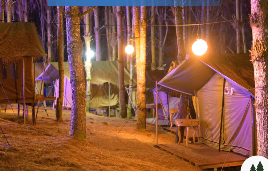 Ziro Camping by Kite Manza – Safari Four Sharing Tent (Itanagar Airport Transfers)