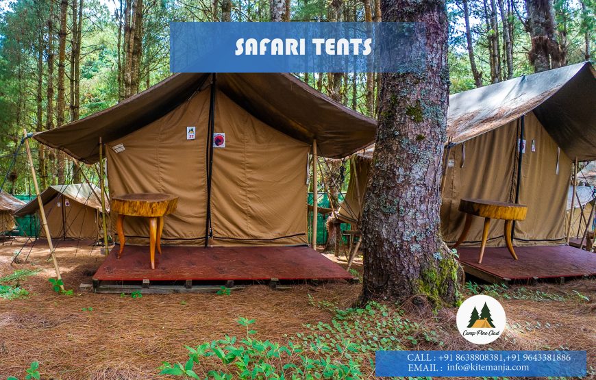 Ziro Camping by Kite Manza – Safari Four Sharing Tent (Itanagar Airport Transfers)