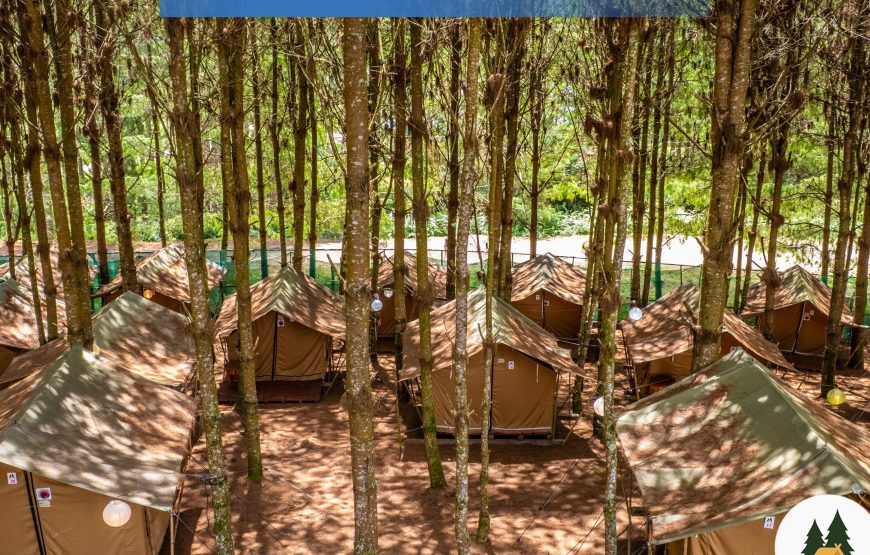 Ziro Camping by Kite Manza – Safari Four Sharing Tent (Itanagar Airport Transfers)