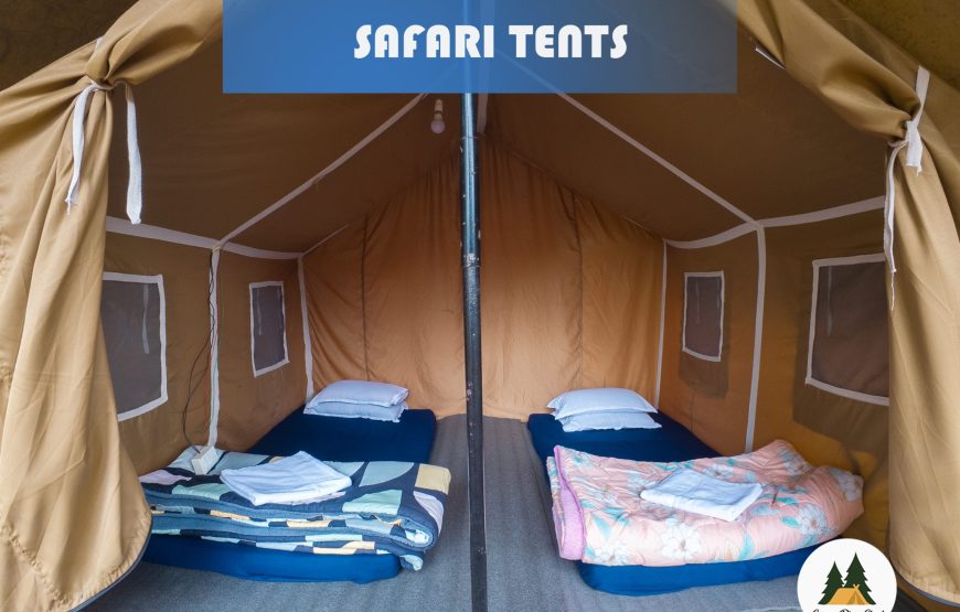 Ziro Camping by Kite Manza – Safari Four Sharing Tent (Itanagar Airport Transfers)