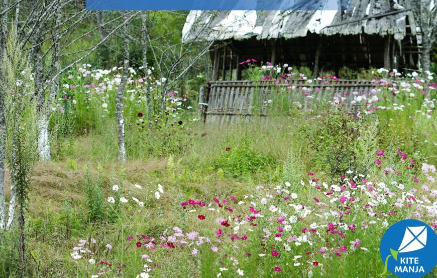 Hike the Green Organic Mountain Fields – by Kite Manza