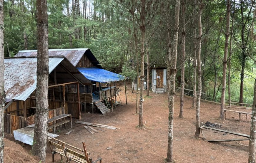 Campsite by Bangara for 5 days and 4 nights